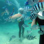 Bali Family Tour Package4